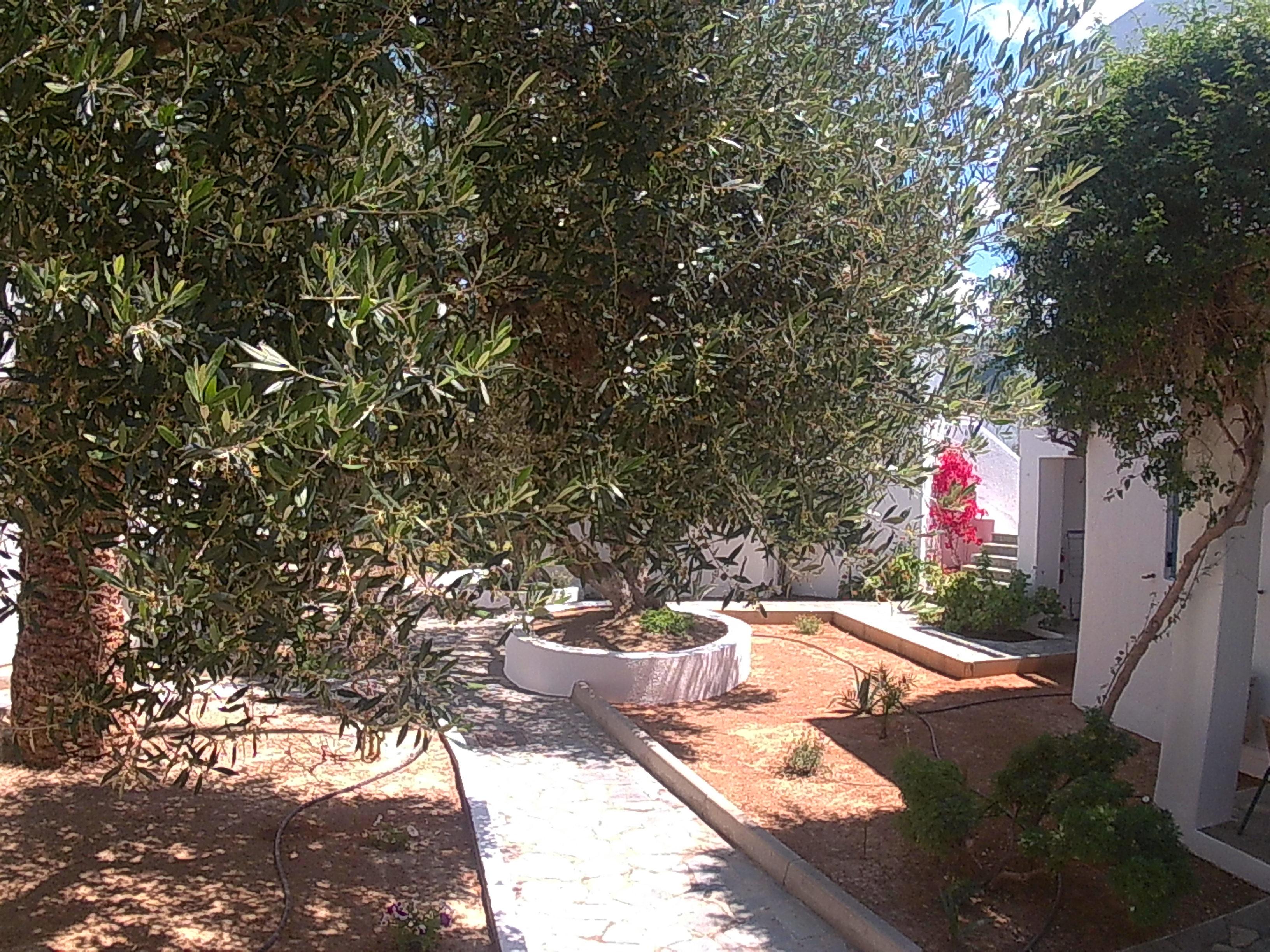 Palatia Village Hotel Apartments Hersonissos  Exterior photo